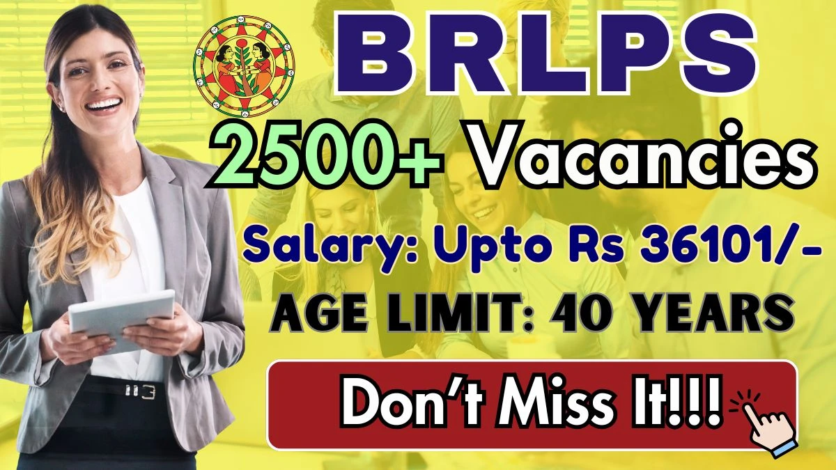 BRLPS Livelihood Specialist, Area Coordinator and Other Recruitment 2025 Job Pos...