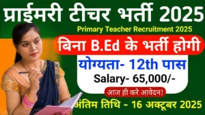 Primary Teacher Recruitment 2025